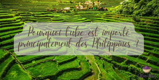Pourquoi l’ube est importé principalement des Philippines ?