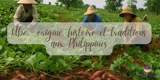 Ube : origine, histoire et traditions aux Philippines