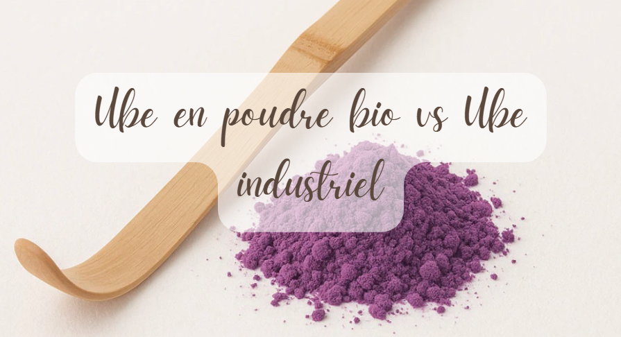 Ube en poudre bio vs poudre d’ube industrielle : quelles différences ?