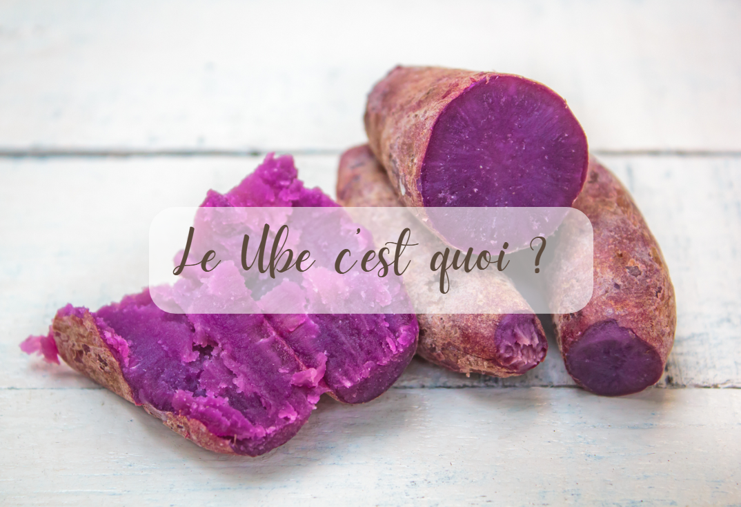 Le Ube, c’est quoi ?