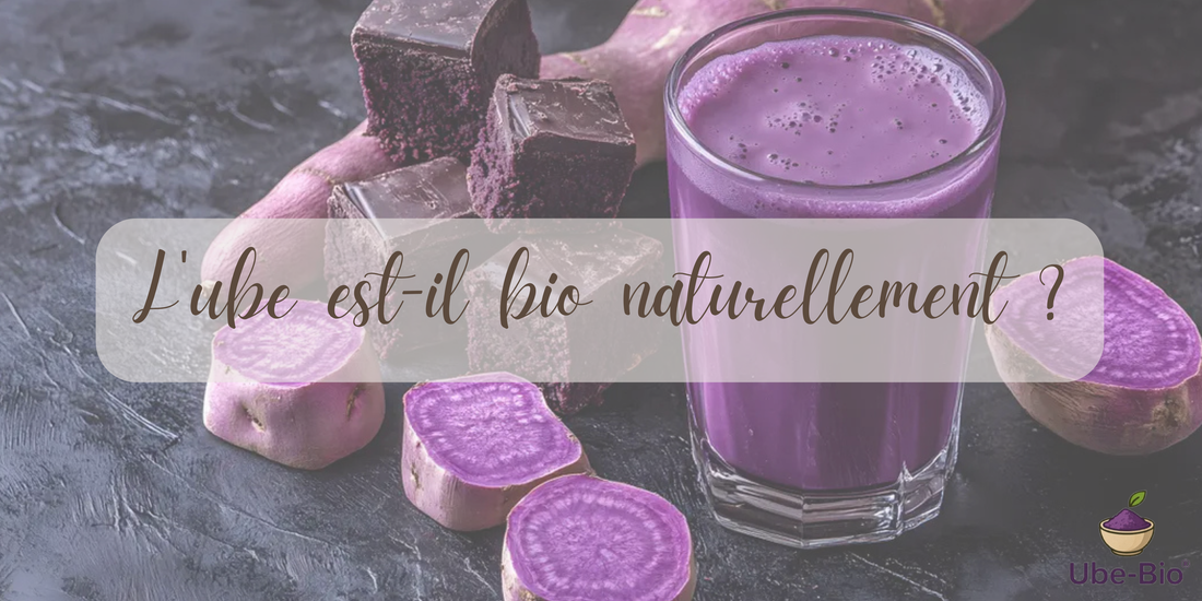 L'ube est-il bio naturellement ?