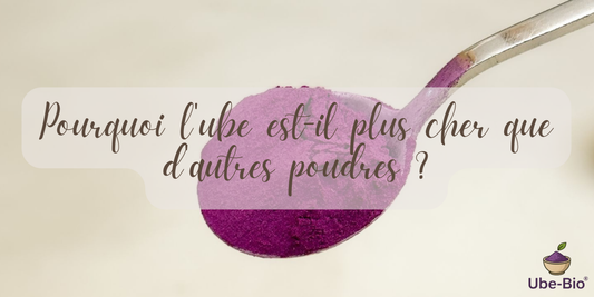 Pourquoi l'ube est-il plus cher que d'autres poudres ?
