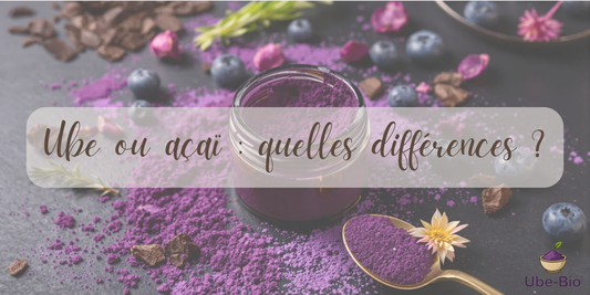 Ube ou açaï : quelles différences ?