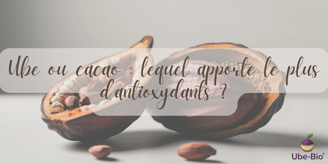 Ube ou cacao : lequel apporte le plus d'antioxydants ?