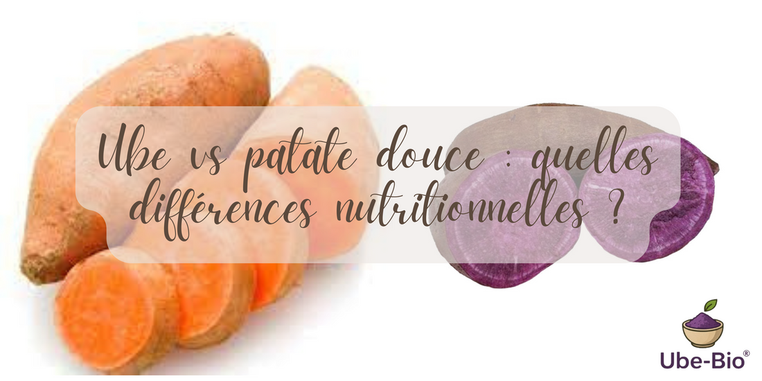 Ube vs patate douce : quelles différences nutritionnelles ?
