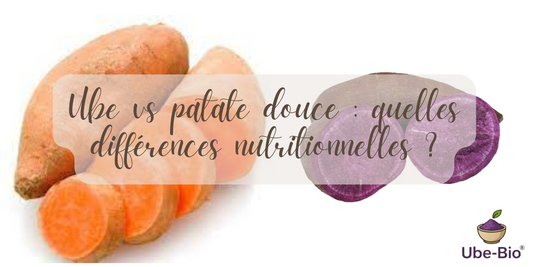 Ube vs patate douce : quelles différences nutritionnelles ?