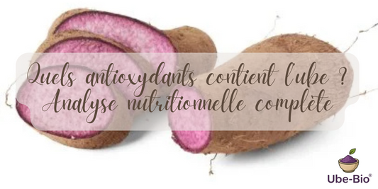 Quels antioxydants contient l’ube ? Analyse nutritionnelle complète