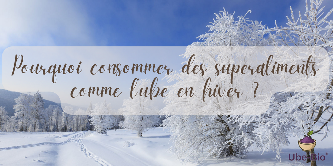 Pourquoi consommer des superaliments comme l’ube en hiver ?