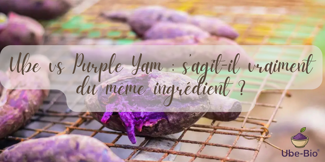 Ube vs Purple Yam : s’agit-il vraiment du même ingrédient ?