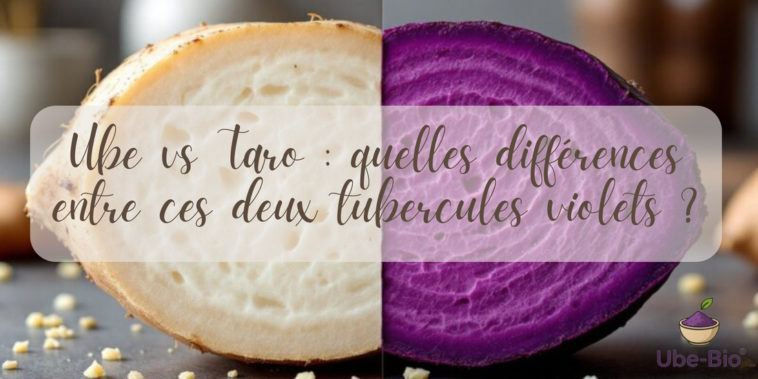 Ube vs Taro : quelles différences entre ces deux tubercules violets ?