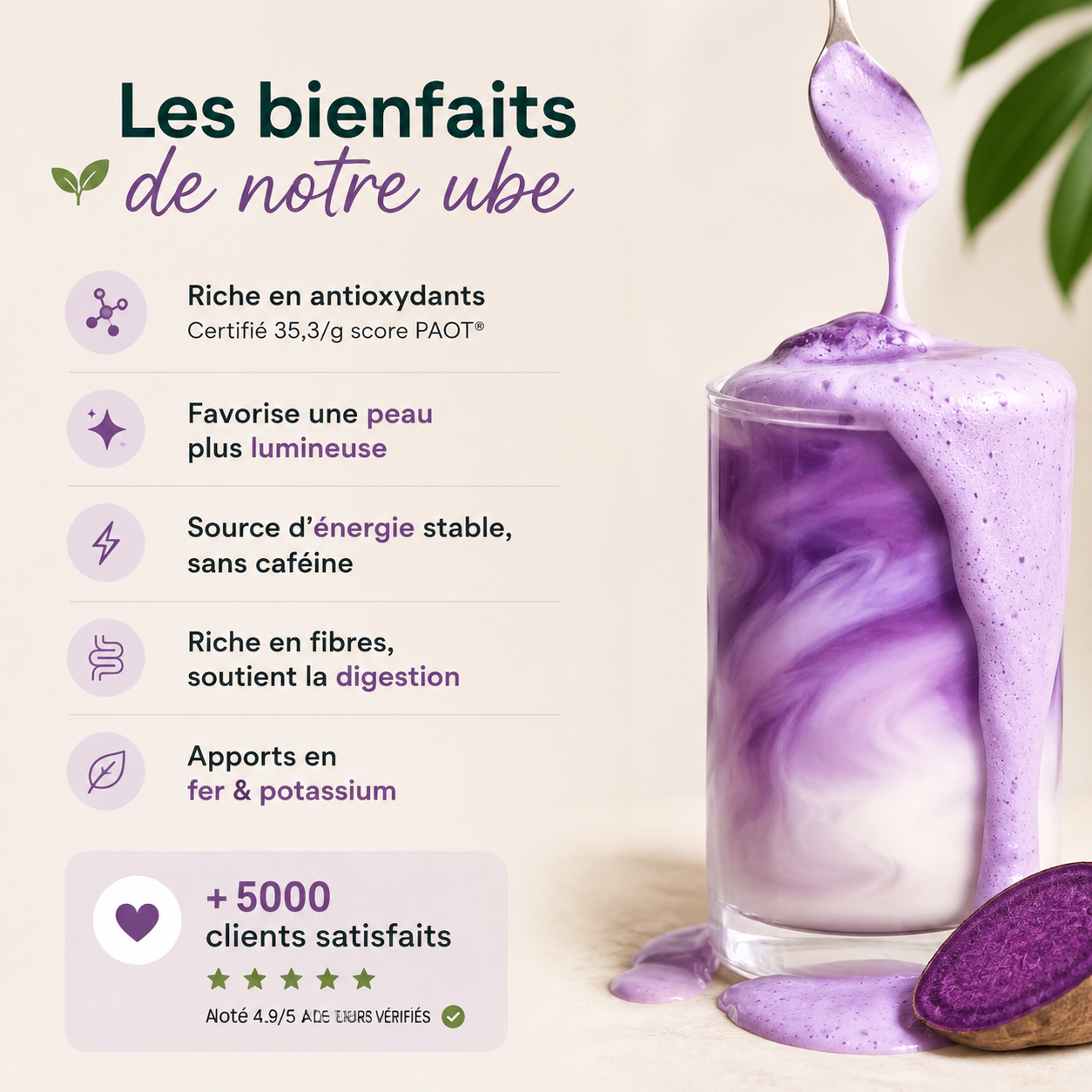 Poudre Ube Bio 500g